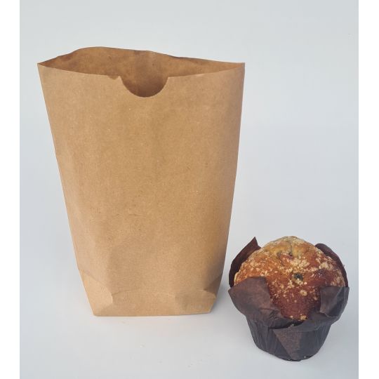 SAC PAPIER KRAFT ECORNES