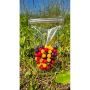 DOYPACK TRANSPARENT 65µ