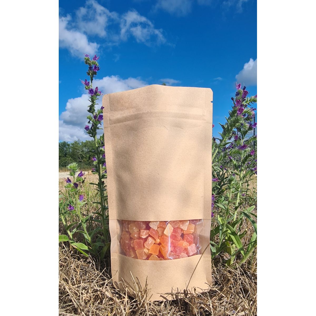 DOYPACK KRAFT FENETRE COMPOSTABLE