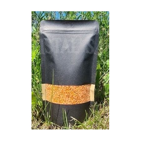 DOYPACK KRAFT NOIRFENETREPF