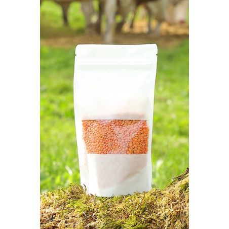 DOYPACK KRAFT BLANCFENETREPF