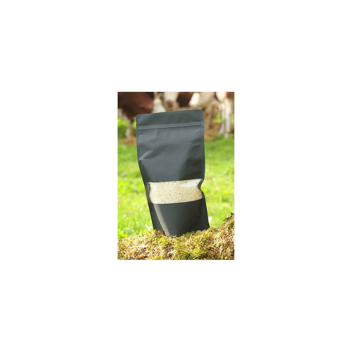 DOYPACK KRAFT NOIRFENETRE FL