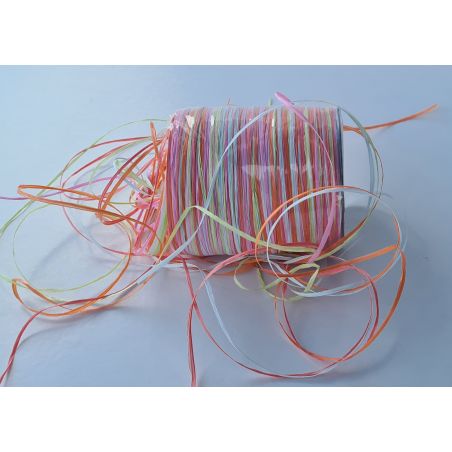 RAPHIA MULTICOLORES