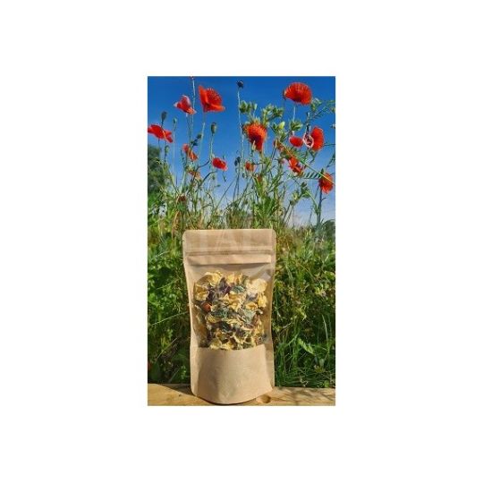 DOYPACK KRAFT FENETRE GF