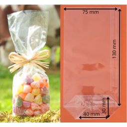 SAC ECORNE RECYCLABLE