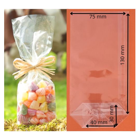 SAC ECORNE RECYCLABLE