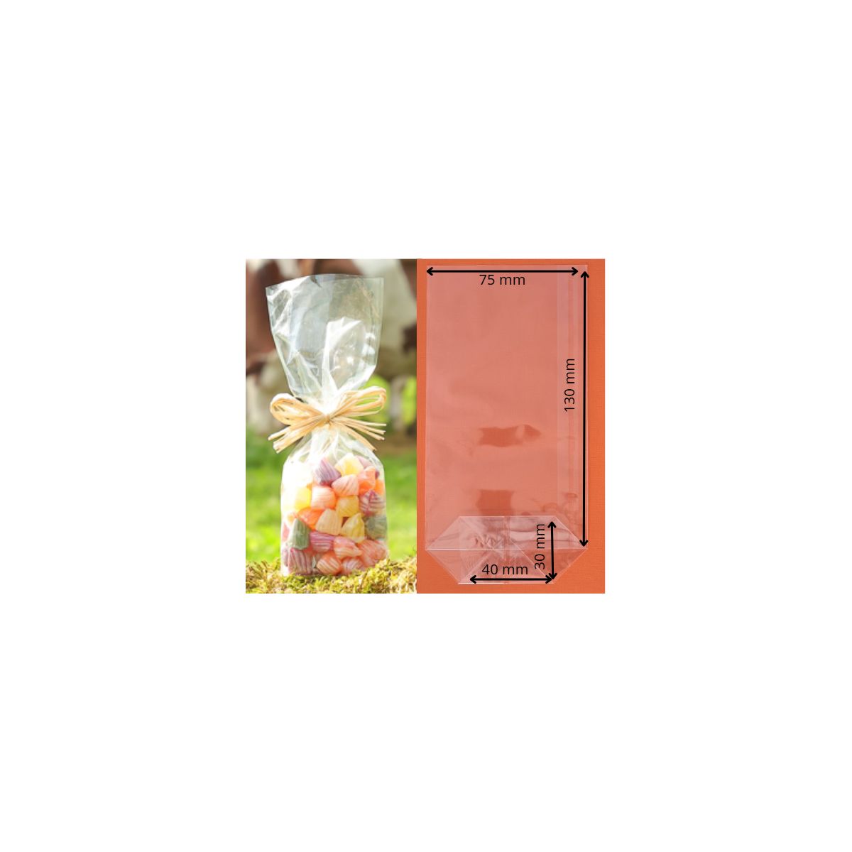 SAC ECORNE RECYCLABLE