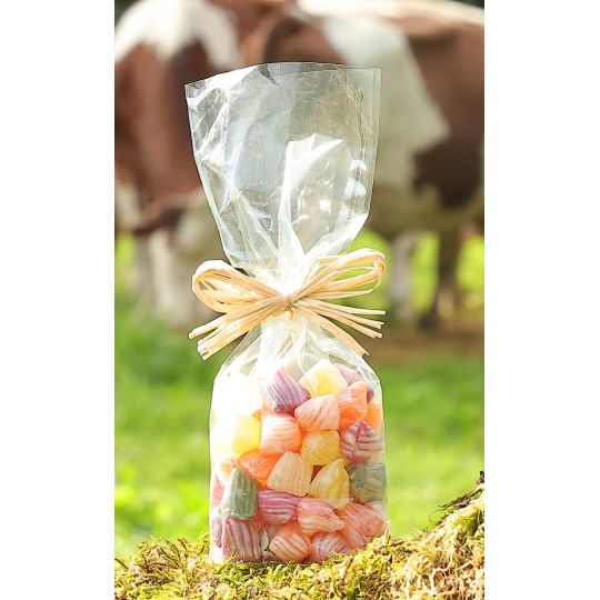 SAC ECORNE RECYCLABLE