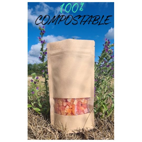 DOYPACK KRAFT FENETRE 100% COMPOSTABLE