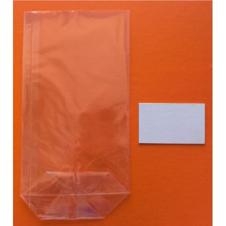 SAC ECORNE + INSERT