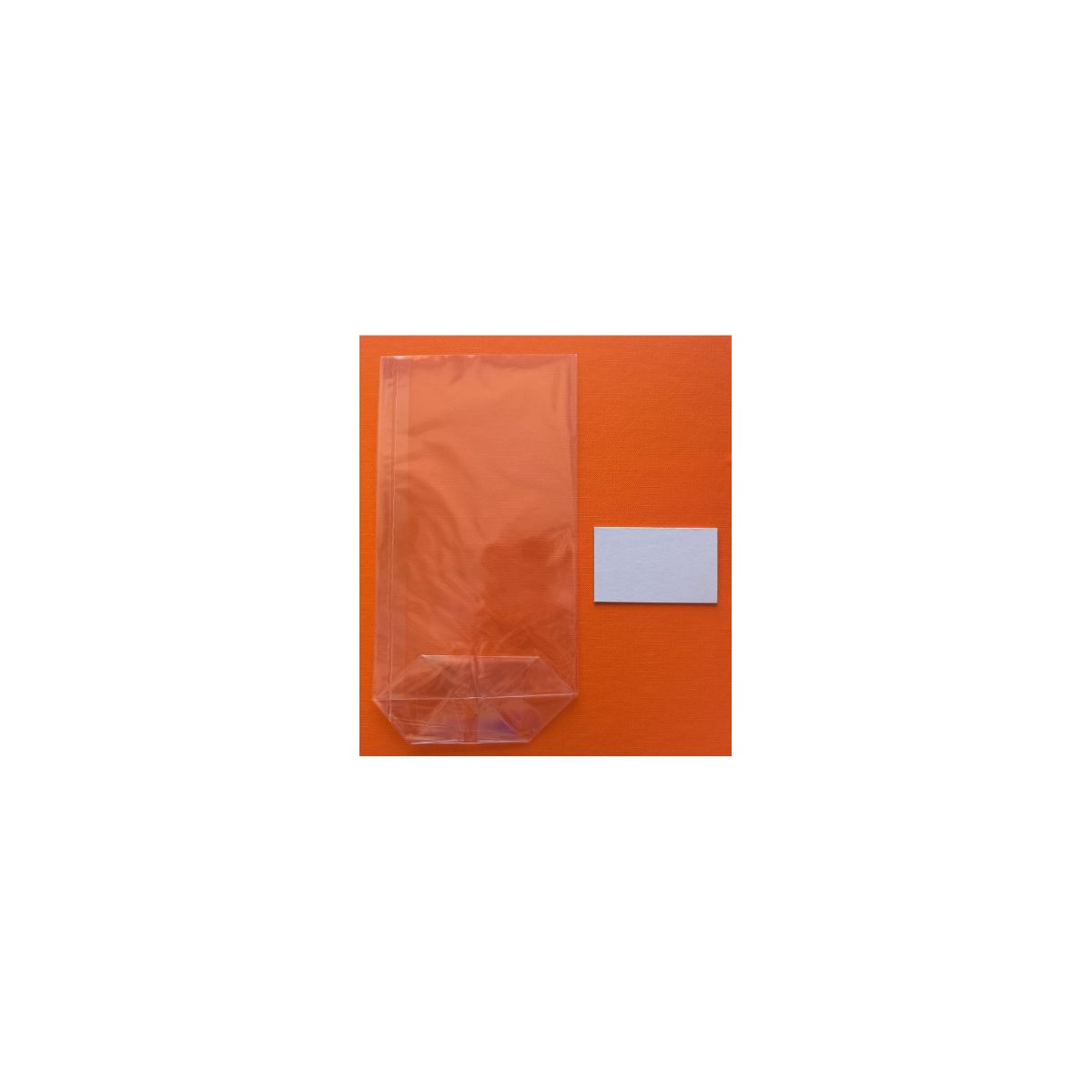 SAC ECORNE + INSERT