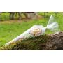 SACHETS CONES PP 40µ