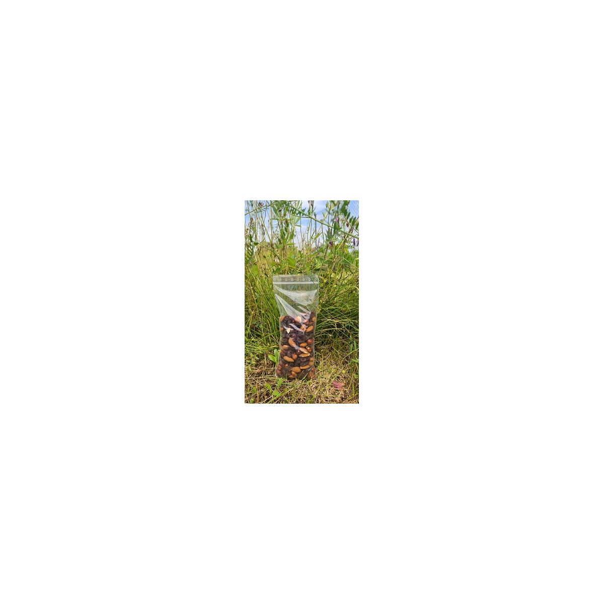 SACHET PLAT ZIP PE 50µ
