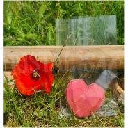 SACHET PLAT CRISTAL