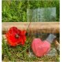 SACHET PLAT CRISTAL