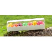 REGLETTES MACARONS FOND BLANC