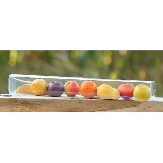 REGLETTES MACARONS