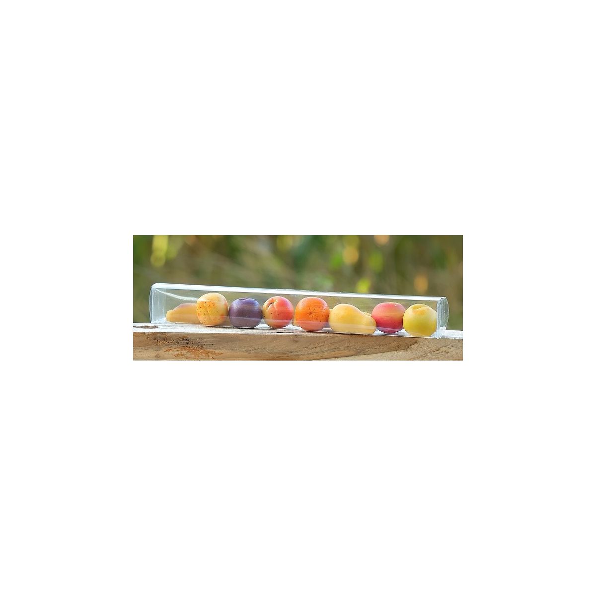 REGLETTES MACARONS